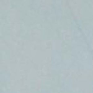 Meet your Posher, Addison